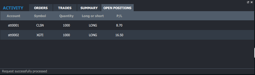Paper Trading Activity Open Positions