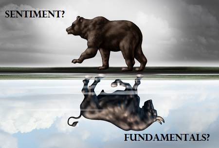 Do Stock Market Fundamentals Matter Yet? Did They Ever?