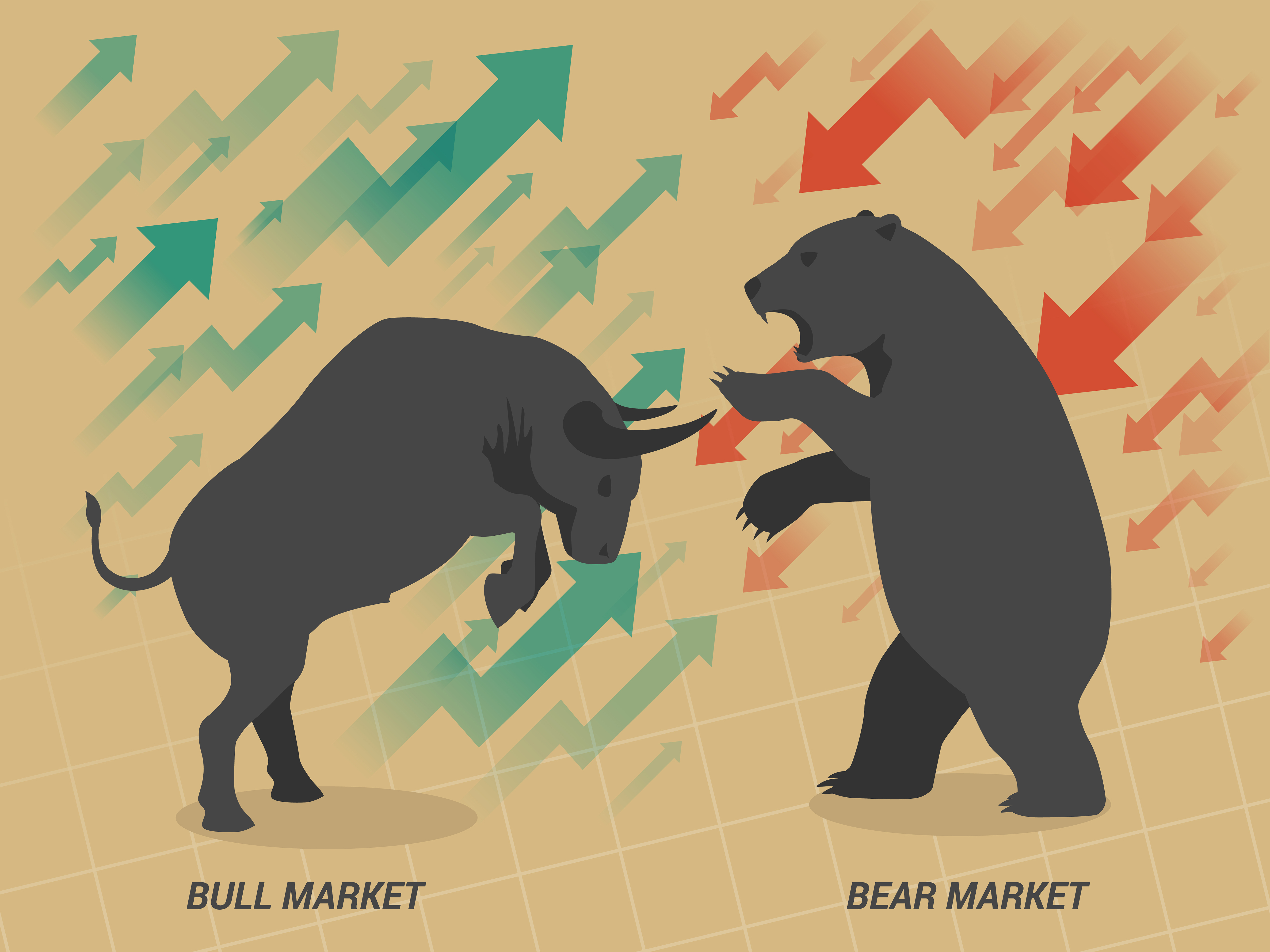 bull and bear Market