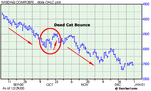 dead cat bounce investing 101