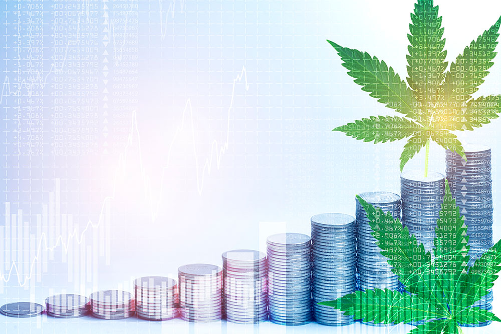6 Marijuana and CBD Stocks to Watch