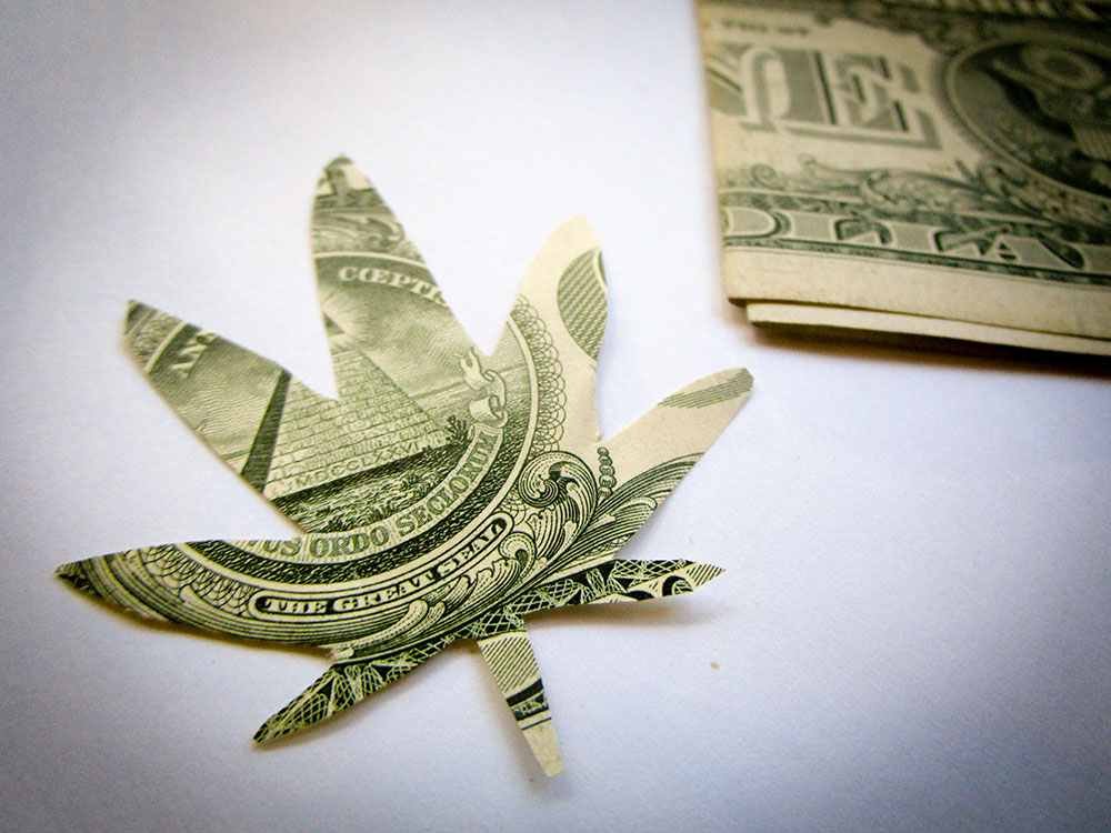 Should You Buy Marijuana Stocks?