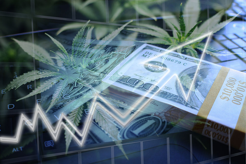 Trends Influencing Marijuana Stocks