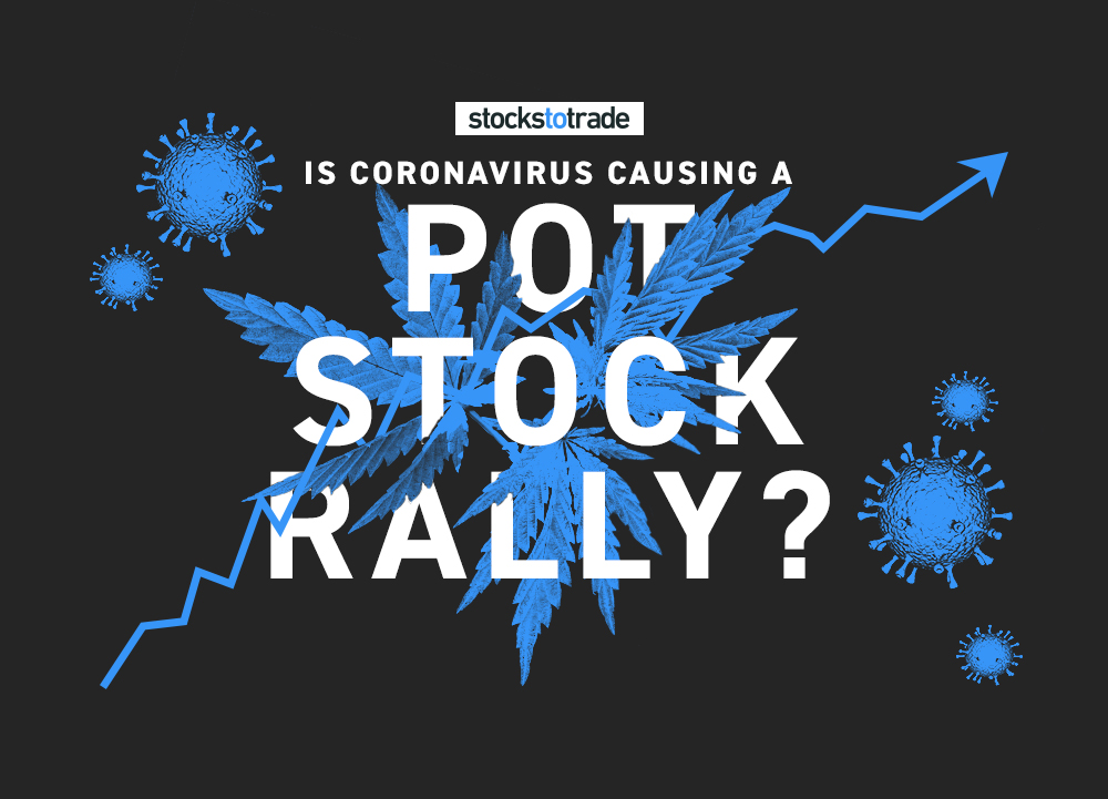 Is Coronavirus Causing a Pot Stock Rally?